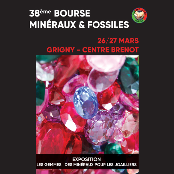 bourse aux mineraux